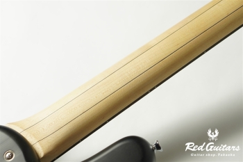 RockBass STREAMER LX 5